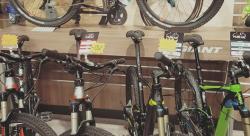 Cycles Plein air : photo 9